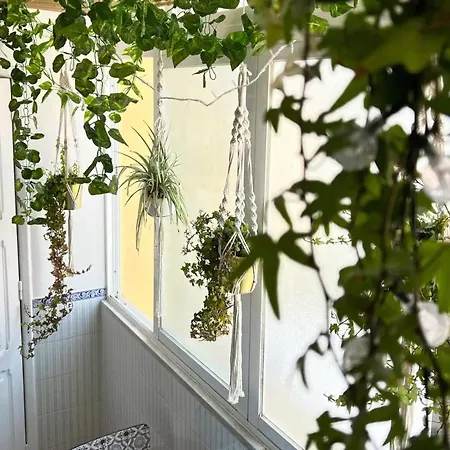 Spectacular River-view Duplex - Apartament *